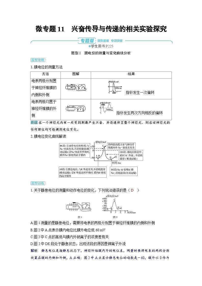 备战2025年高考生物精品教案第八章动物和人体生命活动的调节微专题11兴奋传导与传递的相关实验探究（Word版附解析）第1页