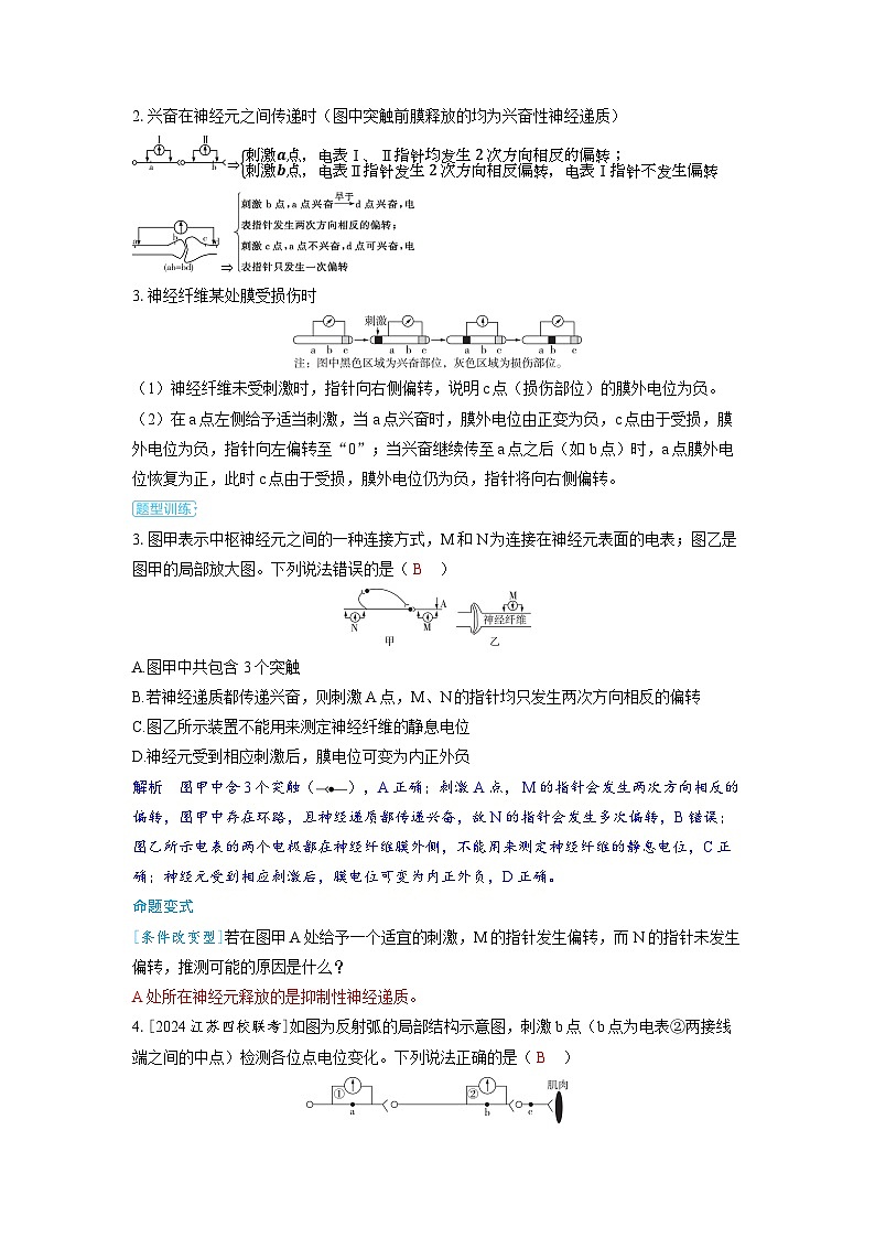 备战2025年高考生物精品教案第八章动物和人体生命活动的调节微专题11兴奋传导与传递的相关实验探究（Word版附解析）第3页