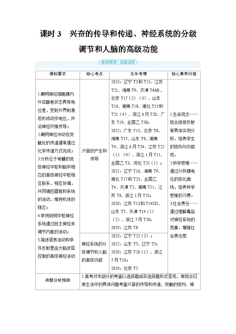 备战2025年高考生物精品教案第八章动物和人体生命活动的调节课时3兴奋的传导和传递、神经系统的分级调节和（Word版附解析）第1页