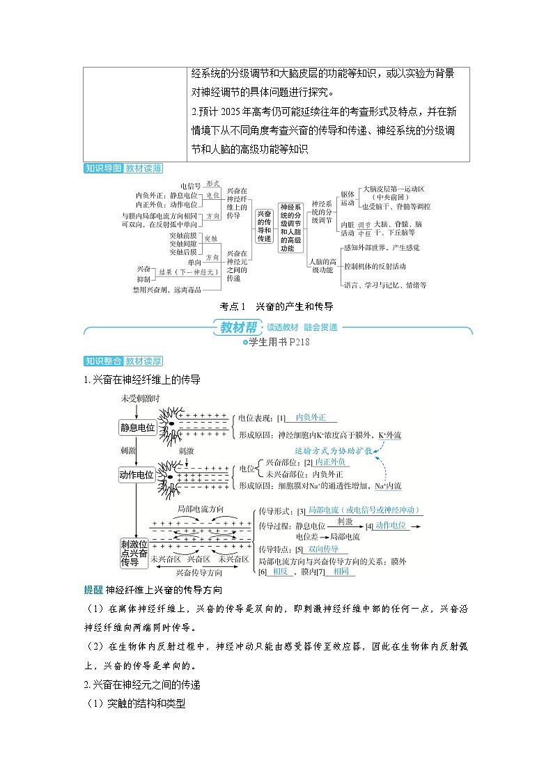 备战2025年高考生物精品教案第八章动物和人体生命活动的调节课时3兴奋的传导和传递、神经系统的分级调节和（Word版附解析）第2页