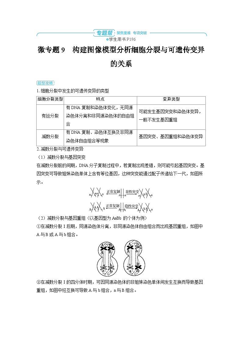 备战2025年高考生物精品教案第七章生物的变异和进化微专题9构建图像模型分析细胞分裂与可遗传变异的关系（Word版附解析）第1页