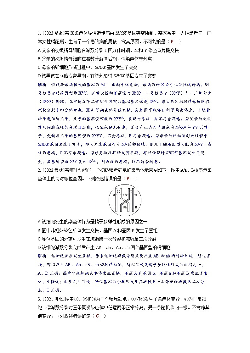 备战2025年高考生物精品教案第七章生物的变异和进化微专题9构建图像模型分析细胞分裂与可遗传变异的关系（Word版附解析）第3页