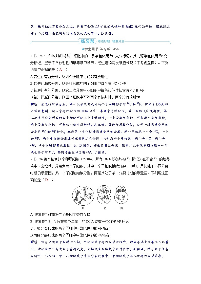 备战2025年高考生物精品教案第六章遗传的分子基础微专题8构建图像模型突破DNA复制与细胞分裂过程中的（Word版附解析）第3页