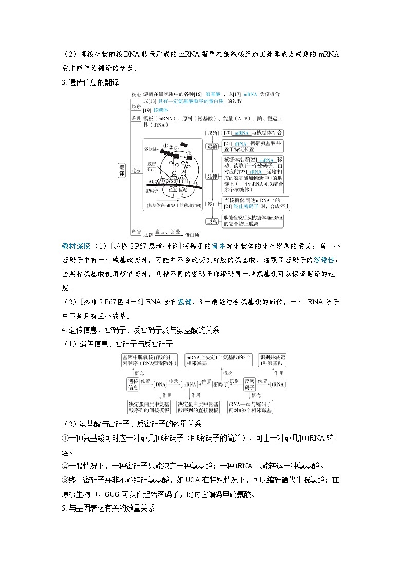 备战2025年高考生物精品教案第六章遗传的分子基础课时3基因的表达（Word版附解析）第3页