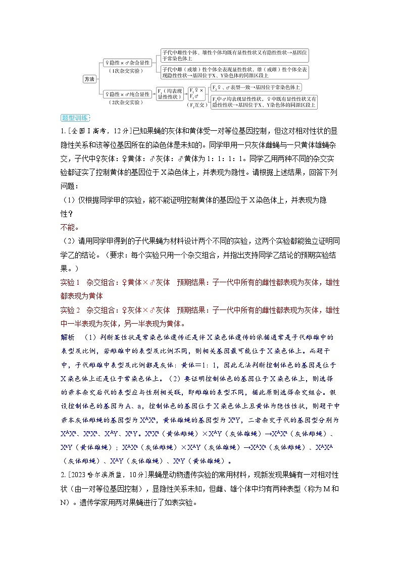 备战2025年高考生物精品教案第五章基因的传递规律微专题7多角度突破基因定位问题（Word版附解析）第2页
