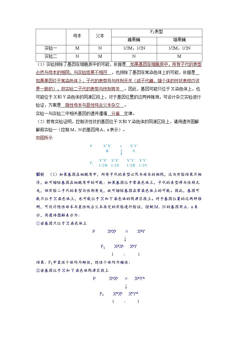 备战2025年高考生物精品教案第五章基因的传递规律微专题7多角度突破基因定位问题（Word版附解析）第3页