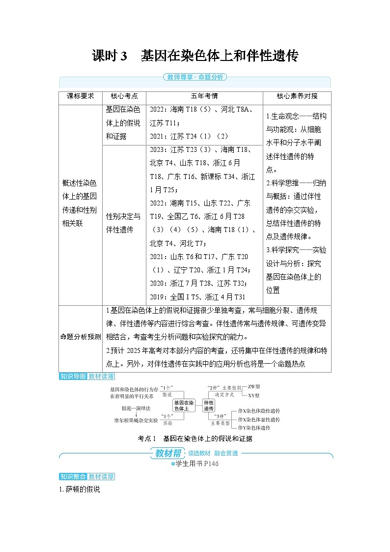 备战2025年高考生物精品教案第五章基因的传递规律课时3基因在染色体上和伴性遗传（Word版附解析）第1页