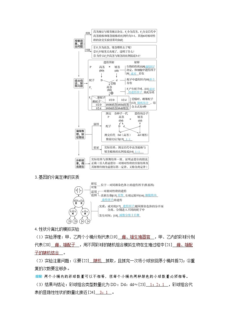 备战2025年高考生物精品教案第五章基因的传递规律课时1基因的分离定律（Word版附解析）第3页