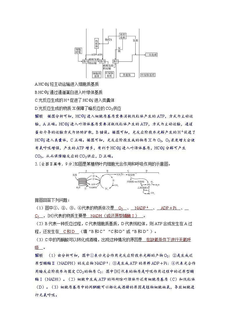 备战2025年高考生物精品教案第三章细胞代谢微专题1光合作用与呼吸作用的关系（Word版附解析）第2页