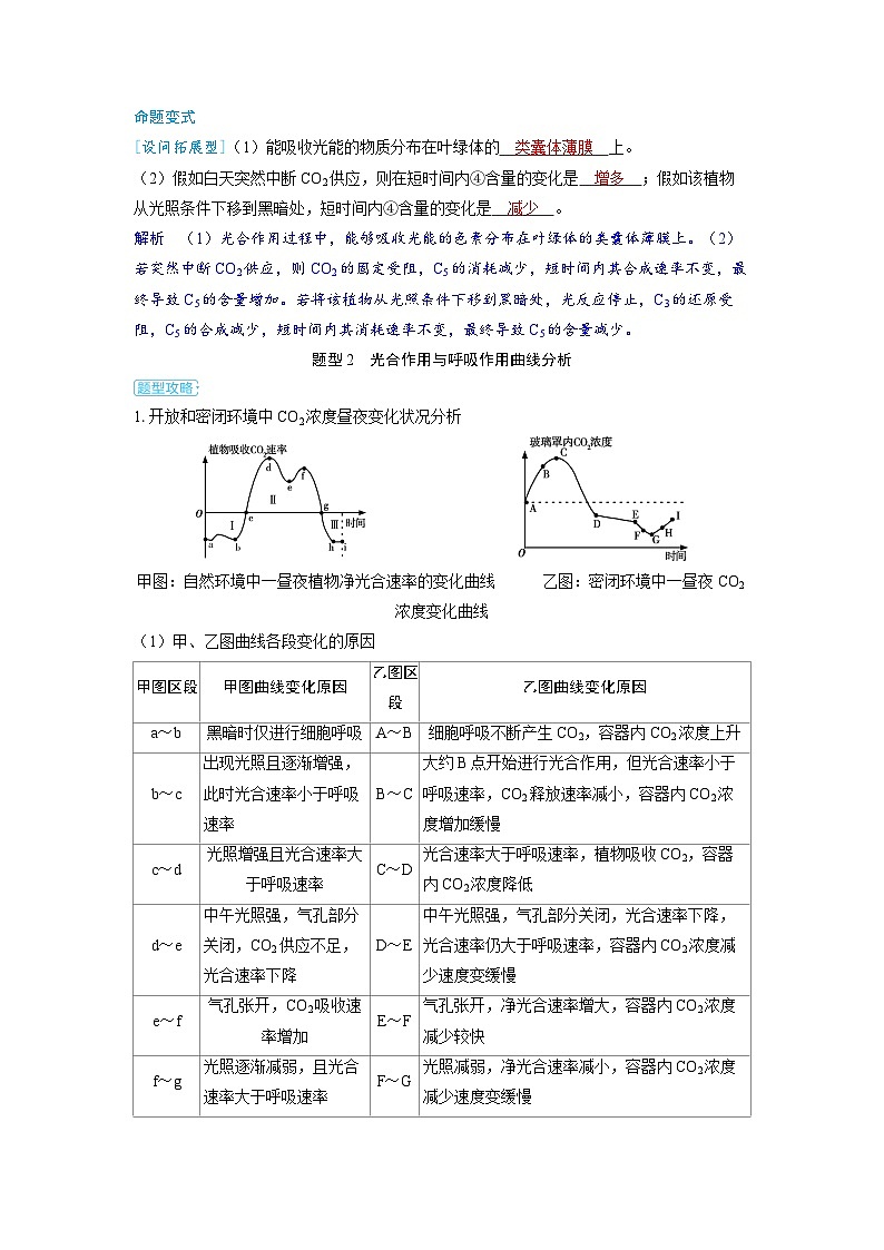 备战2025年高考生物精品教案第三章细胞代谢微专题1光合作用与呼吸作用的关系（Word版附解析）第3页