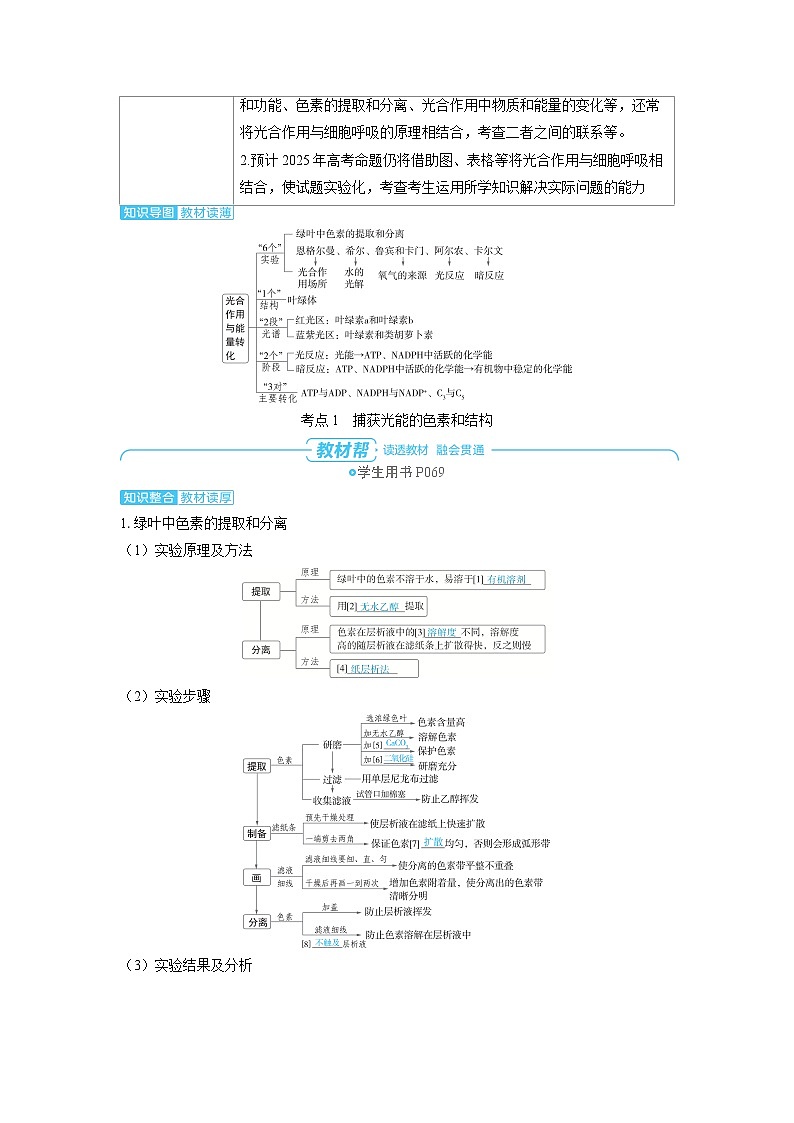 备战2025年高考生物精品教案第三章细胞代谢课时4光合作用与能量转化（Word版附解析）第2页