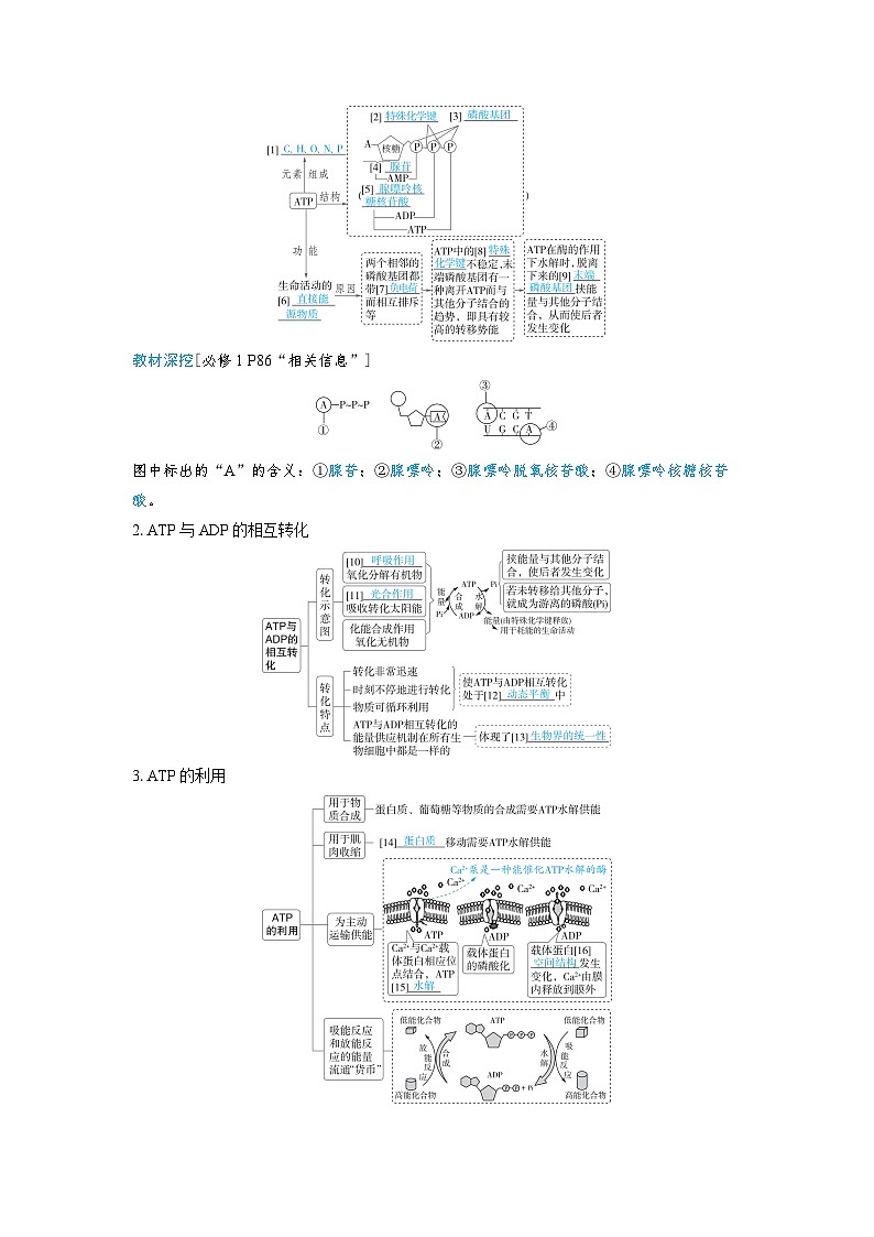 备战2025年高考生物精品教案第三章细胞代谢课时2ATP的结构和功能（Word版附解析）第2页
