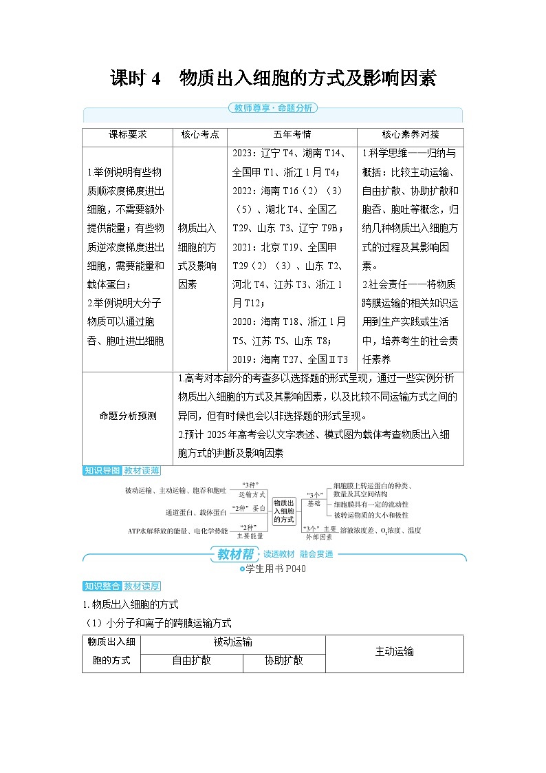 备战2025年高考生物精品教案第二章细胞的基本结构和物质的运输课时4物质出入细胞的方式及影响因素（Word版附解析）第1页