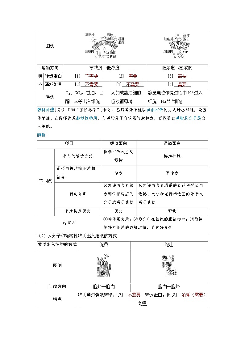 备战2025年高考生物精品教案第二章细胞的基本结构和物质的运输课时4物质出入细胞的方式及影响因素（Word版附解析）第2页