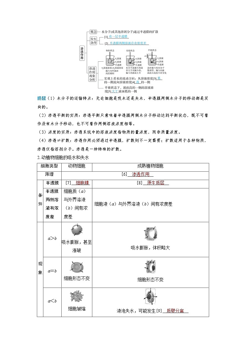 备战2025年高考生物精品教案第二章细胞的基本结构和物质的运输课时3细胞的吸水和失水（Word版附解析）第2页