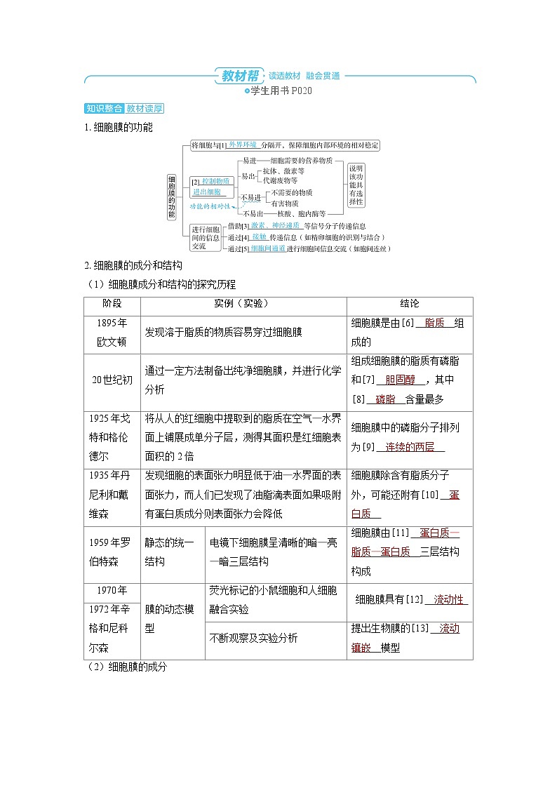 备战2025年高考生物精品教案第二章细胞的基本结构和物质的运输课时1细胞膜和细胞核的结构和功能（Word版附解析）第2页