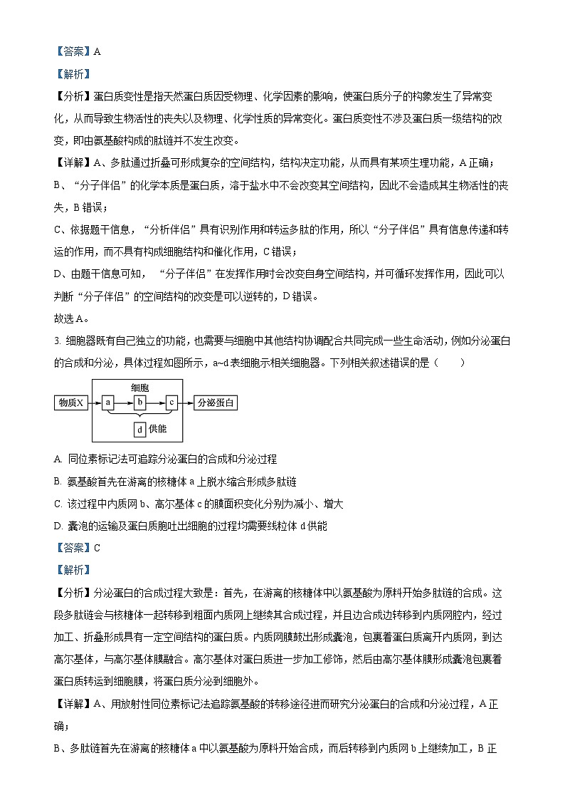 福建省福州市第三中学2024-2025学年高三上学期11月期中生物试题（解析版）-A4第2页