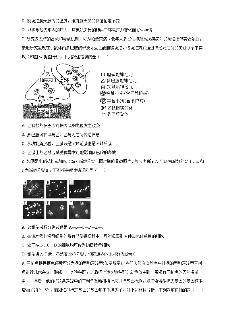 福建省福州市第三中学2024-2025学年高三上学期11月期中生物试题（原卷版）-A4第3页