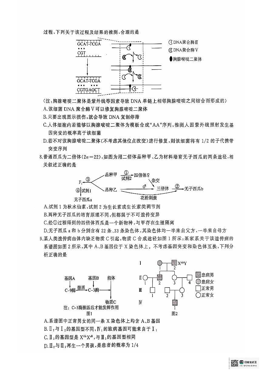 2025届高三生物一轮复习联考(三)第3页