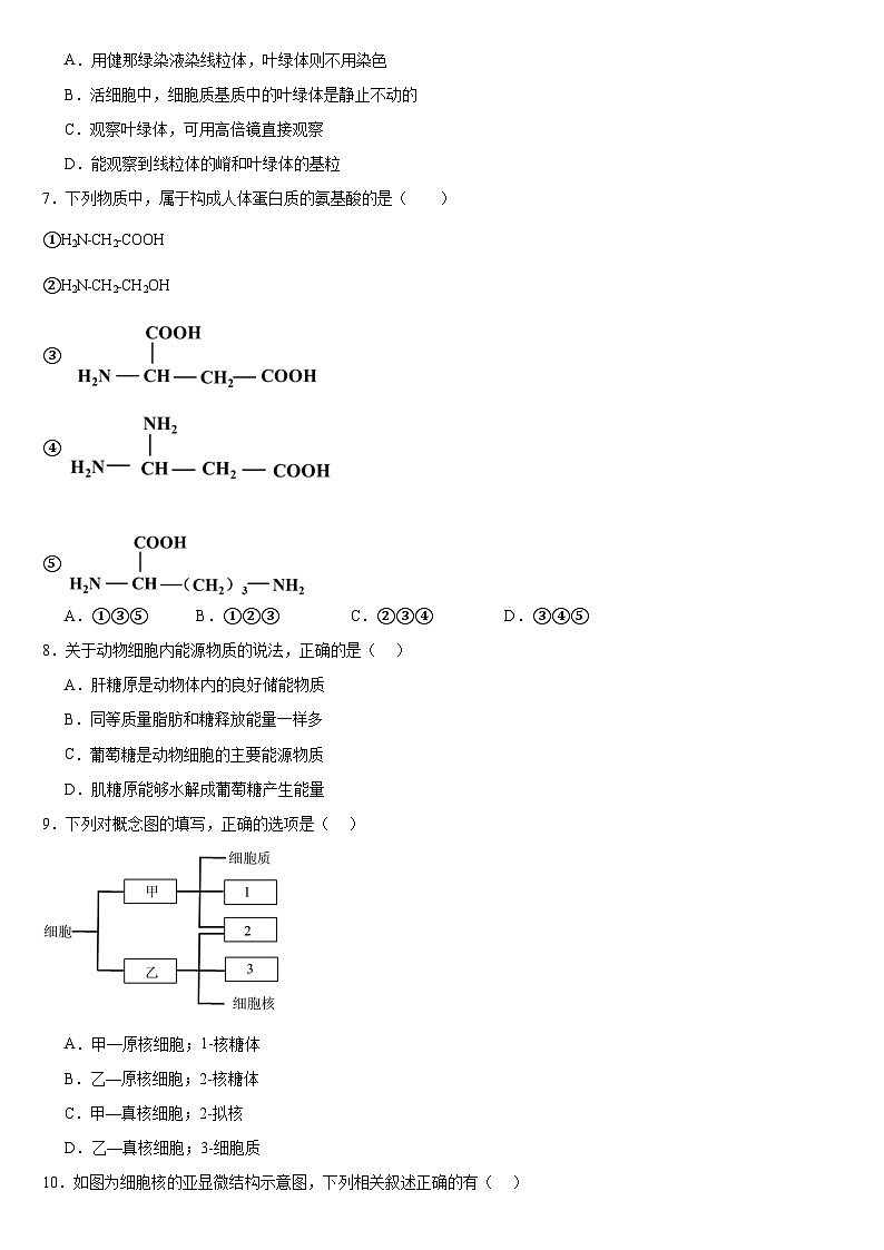 生物试题第2页