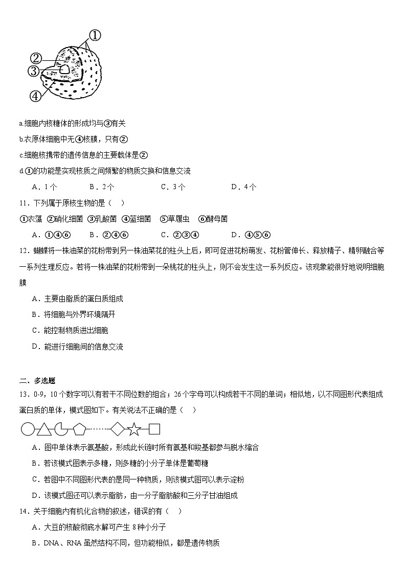 生物试题第3页