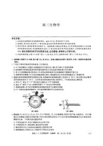 河南省创新发展联盟质量检测2024-2025学年高三上学期11月期中生物试题