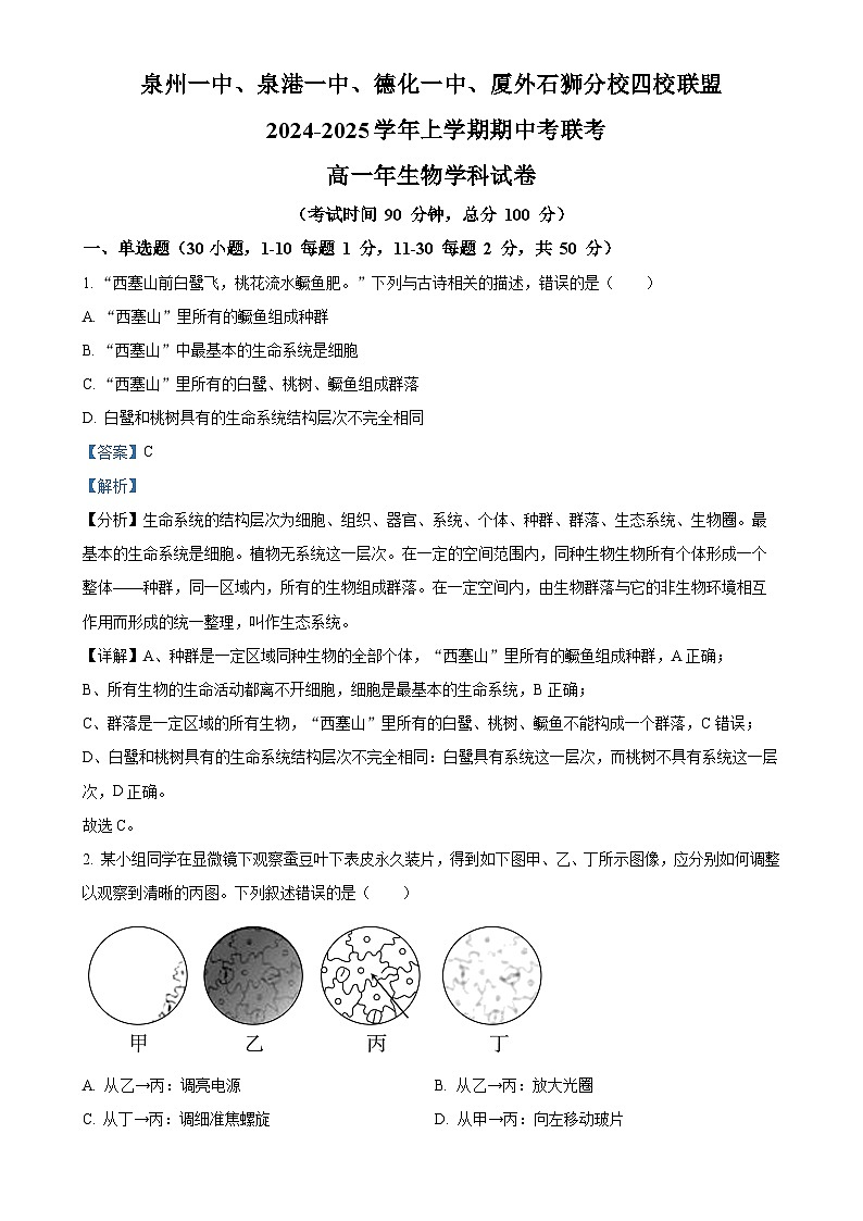 福建省泉州市四校联考2024-2025学年高一上学期11月期中生物试题（解析版）-A4第1页