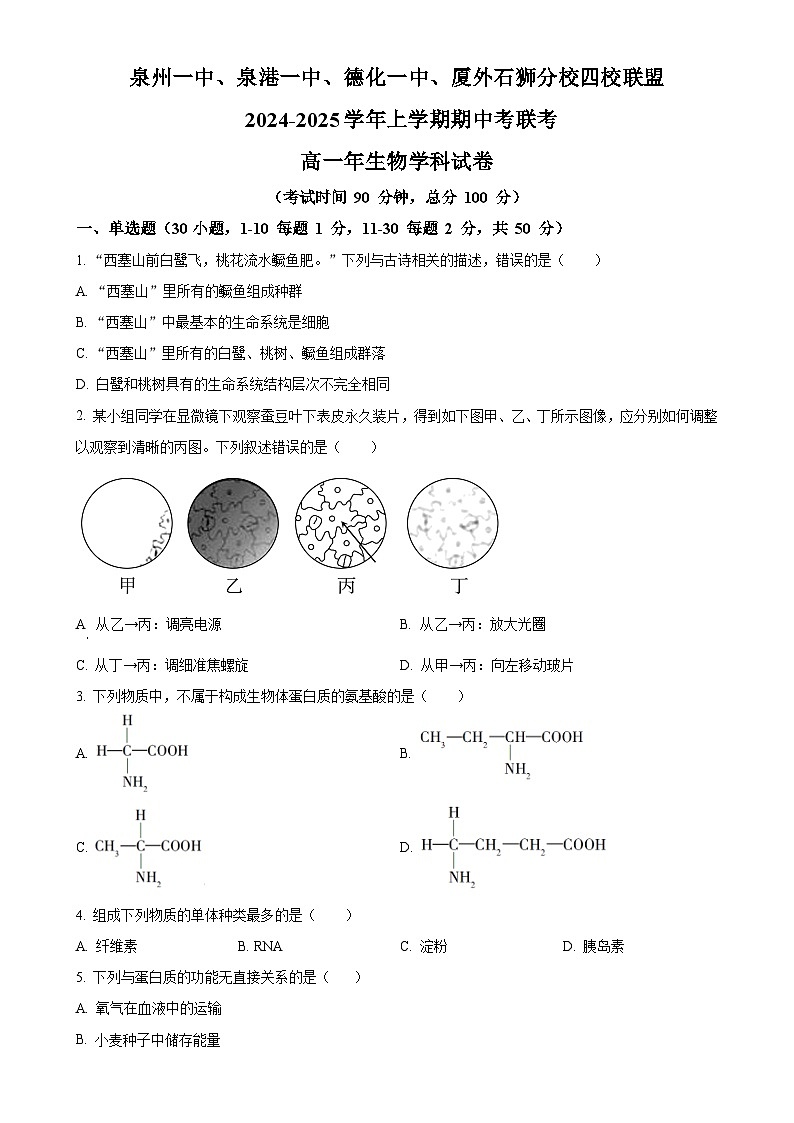 福建省泉州市四校联考2024-2025学年高一上学期11月期中生物试题（原卷版）-A4第1页