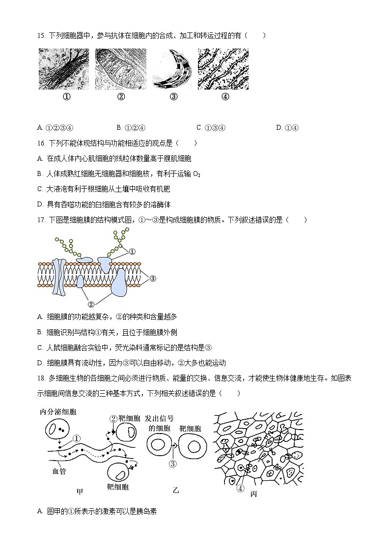 福建省泉州市四校联考2024-2025学年高一上学期11月期中生物试题（原卷版）-A4第3页