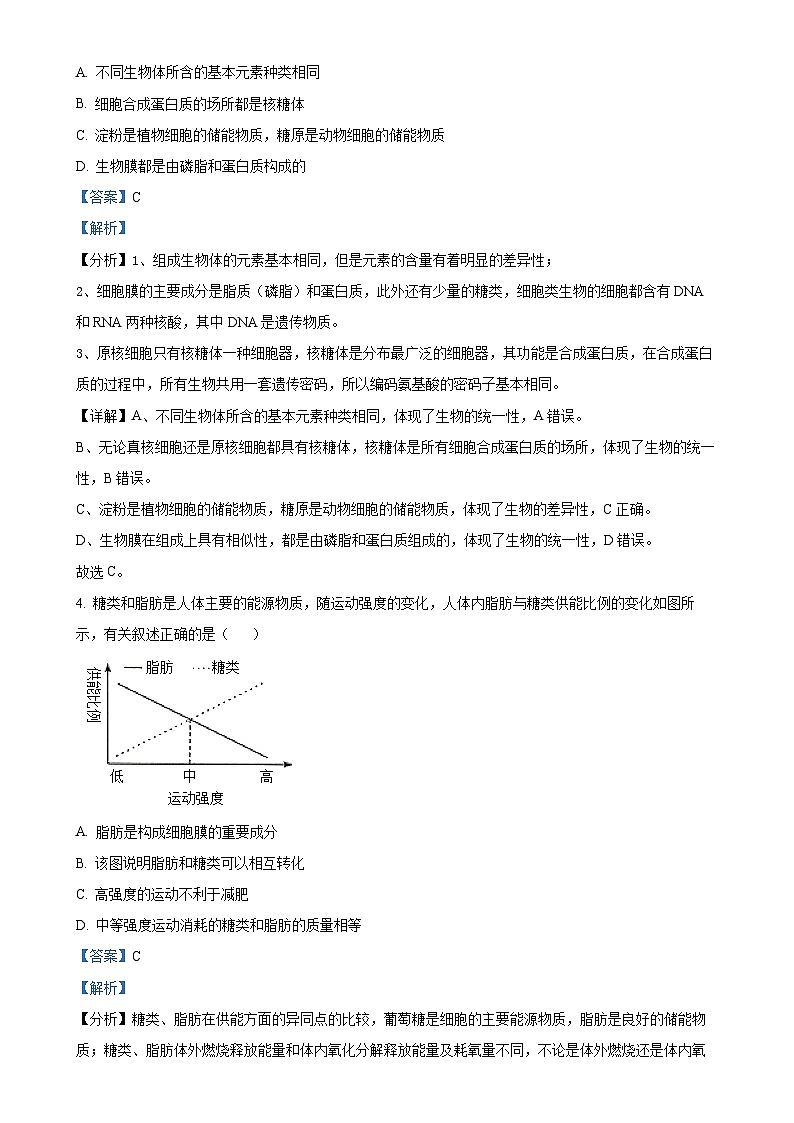 湖南省岳阳市岳阳县第一中学2024-2025学年高一上学期11月期中生物试题（解析版）-A4第2页