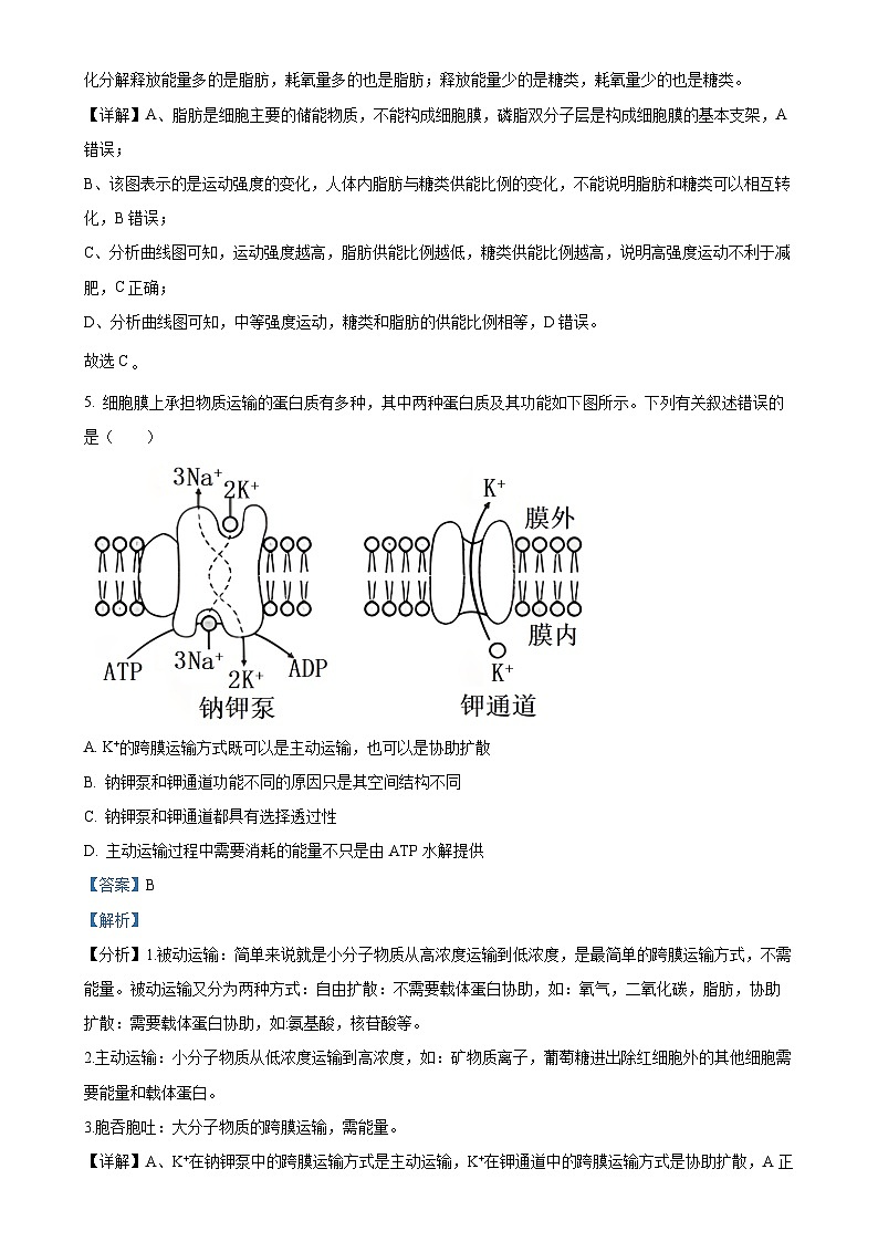 湖南省岳阳市岳阳县第一中学2024-2025学年高一上学期11月期中生物试题（解析版）-A4第3页