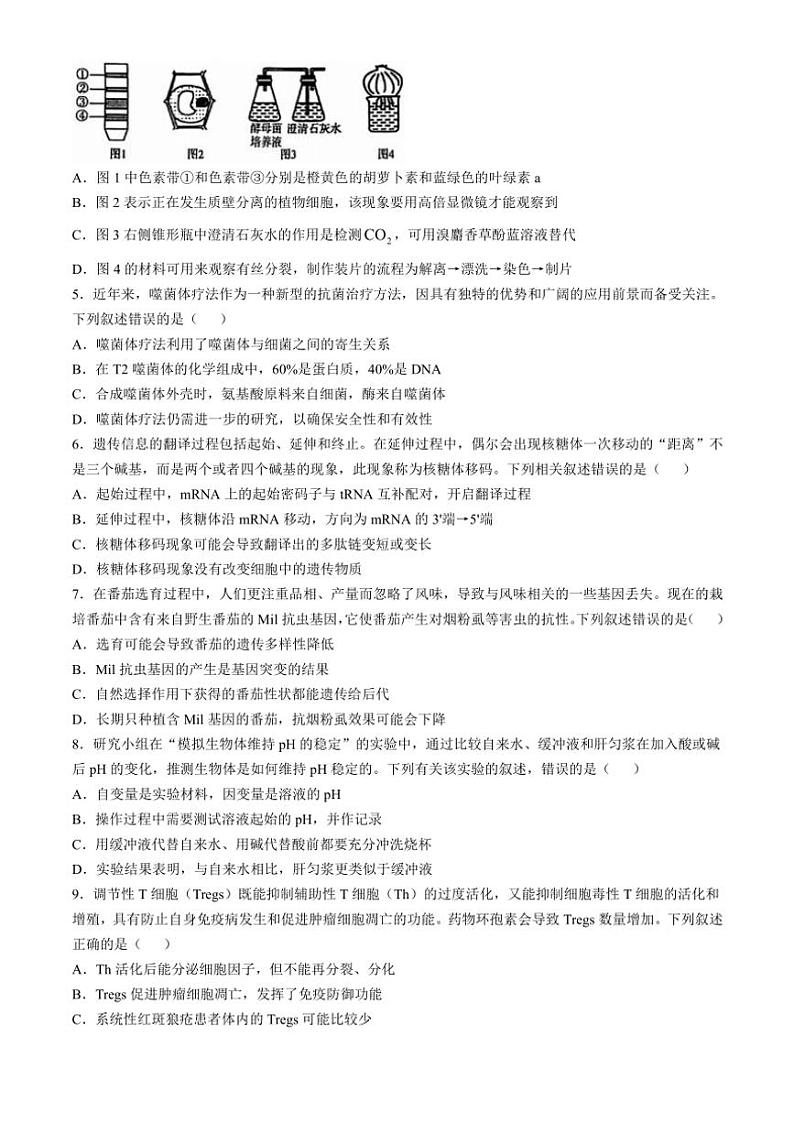 湖南省多校联考2024～2025学年高三(上)11月联考生物试卷(含答案)第2页