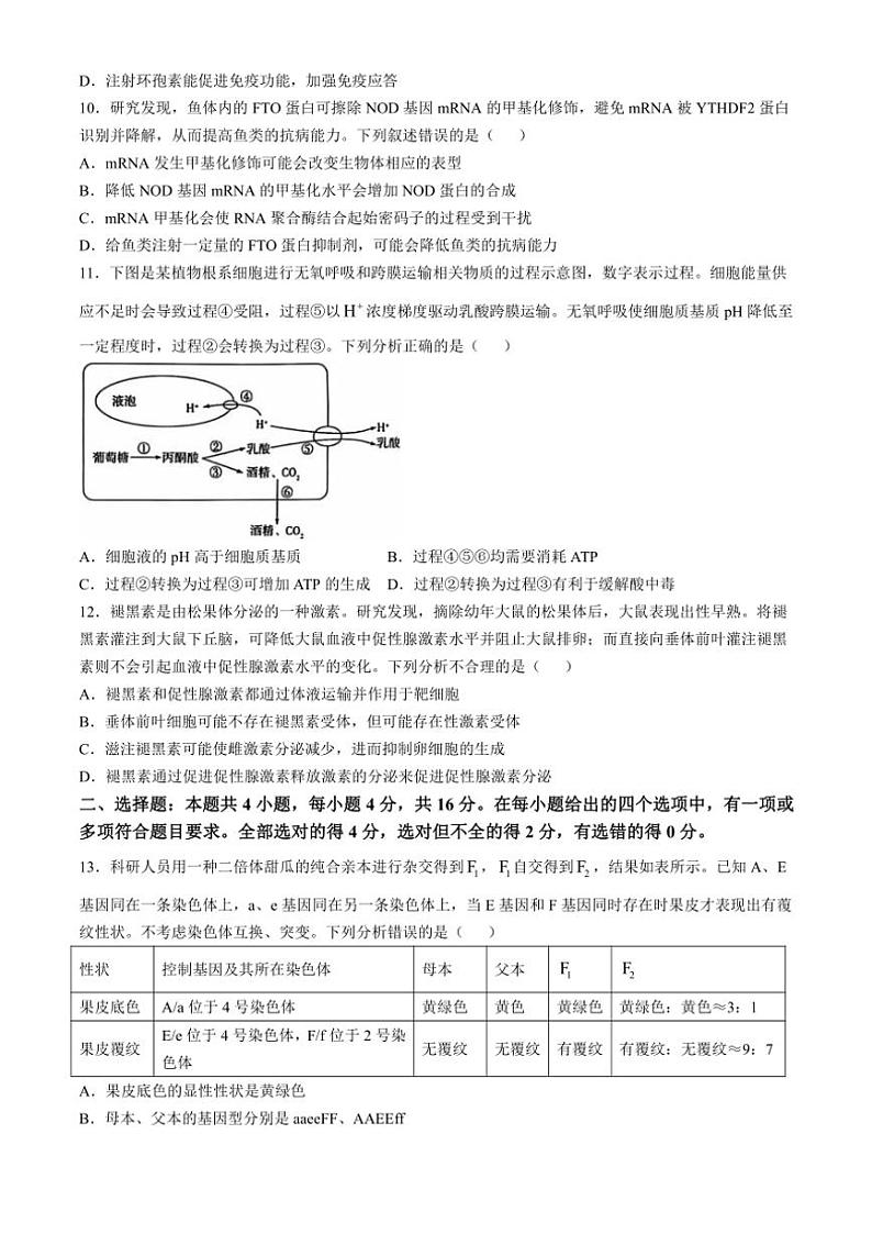 湖南省多校联考2024～2025学年高三(上)11月联考生物试卷(含答案)第3页