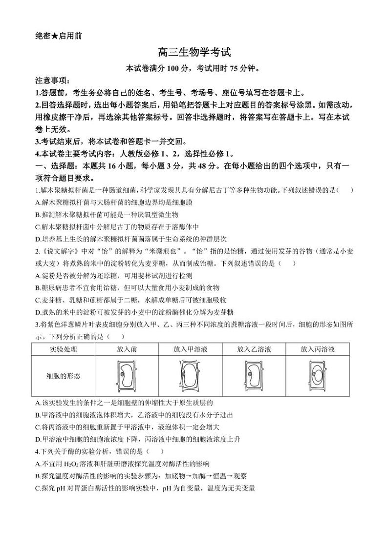 河南省驻马店市2024～2025学年高三(上)期中生物试卷(含解析)第1页