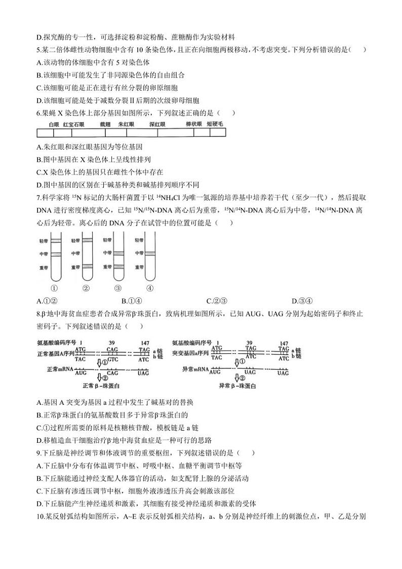 河南省驻马店市2024～2025学年高三(上)期中生物试卷(含解析)第2页