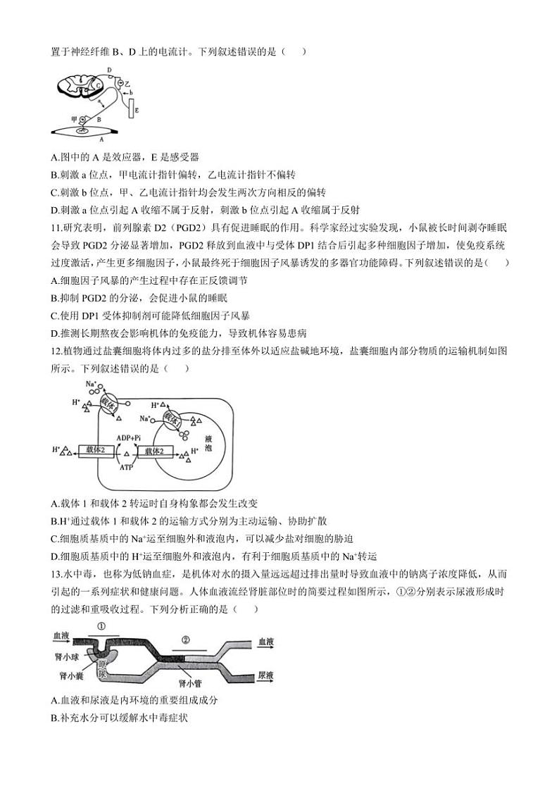 河南省驻马店市2024～2025学年高三(上)期中生物试卷(含解析)第3页