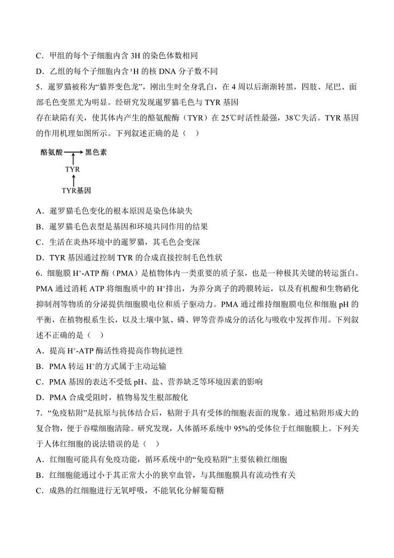 湖南省衡阳市衡阳县第四中学2025届高三(上)期中生物试卷(含答案)第2页