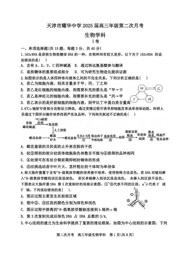 天津市耀华中学2024～2025学年高三(上)第二次月考生物试卷(含答案)第1页
