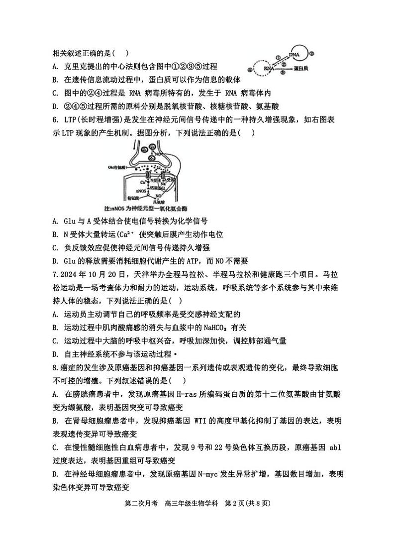 天津市耀华中学2024～2025学年高三(上)第二次月考生物试卷(含答案)第2页