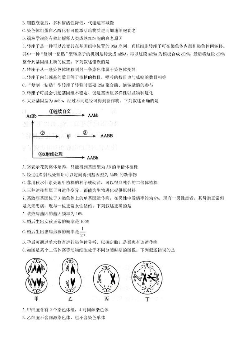 河北省邢台市名校大联考2024～2025学年高三(上)11月月考生物试卷(含答案)第2页
