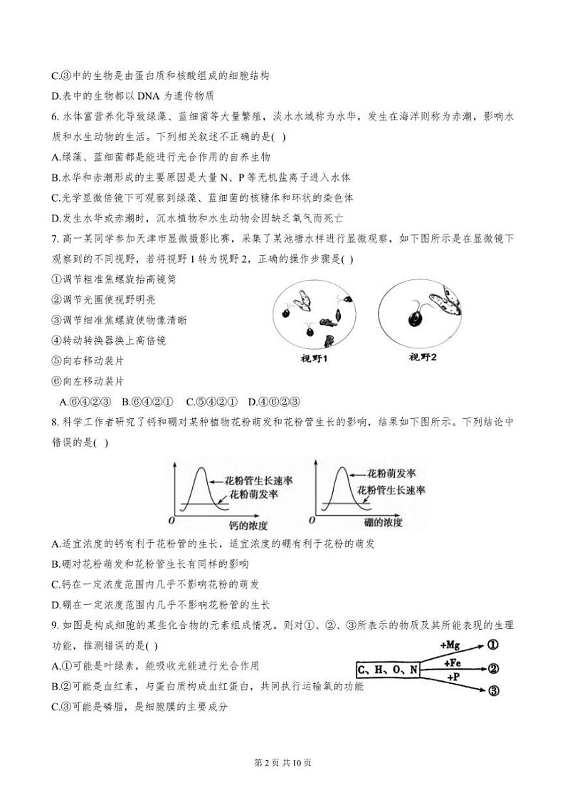 天津市滨海育华中学、实验滨海联考2024～2025学年高一(上)期中质量调查生物试卷(含答案)第2页