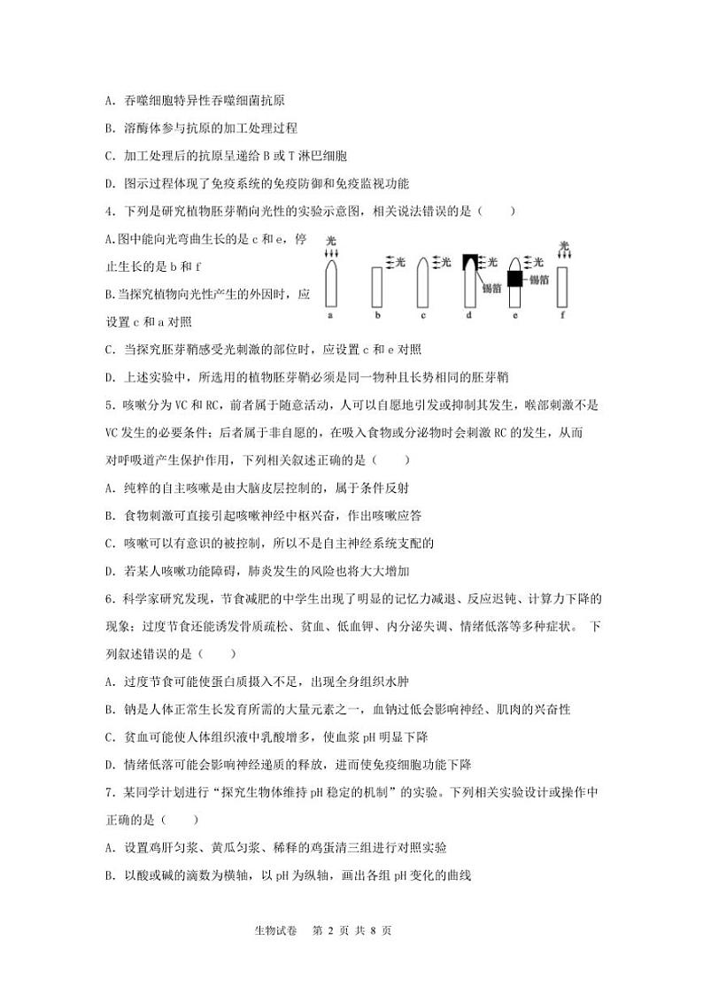 湖北省咸宁市崇阳县第二高级中学2024～2025学年高二(上)期中生物试卷(含答案)第2页