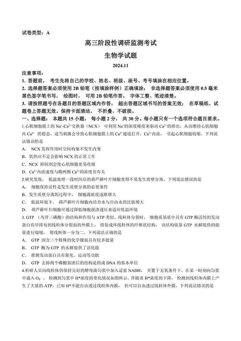 山东省潍坊市2024～2025年高三(上)期中生物试卷(含答案)第1页