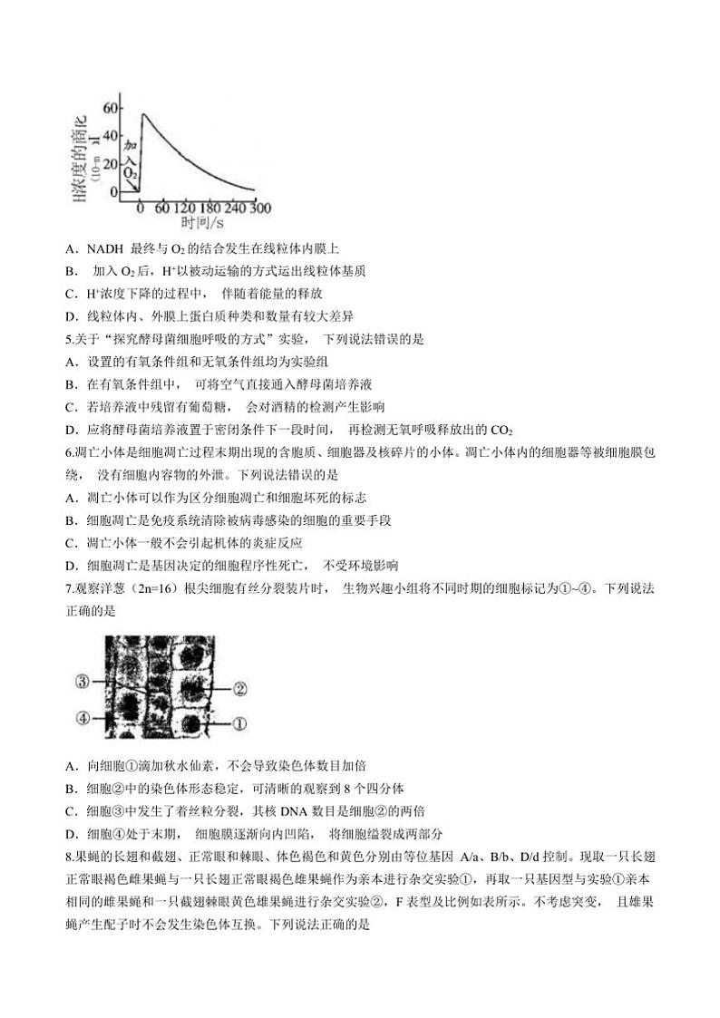 山东省潍坊市2024～2025年高三(上)期中生物试卷(含答案)第2页