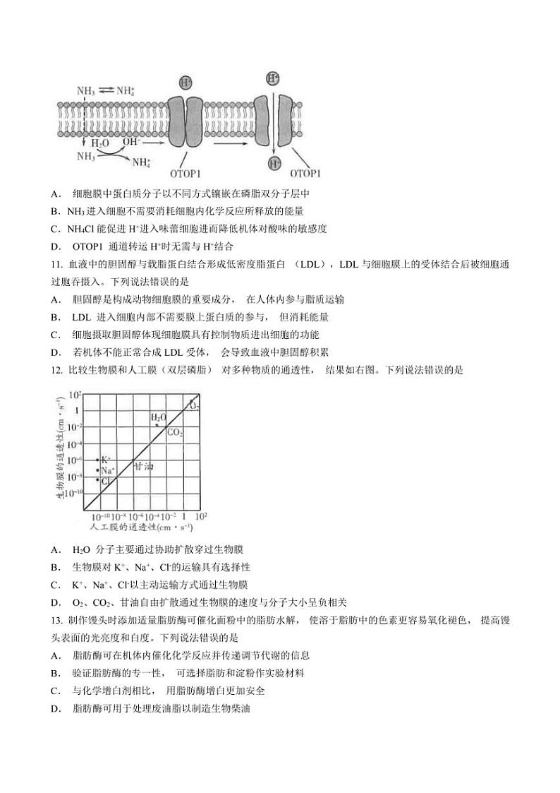 山东省潍坊市昌邑市2024～2025学年高一(上)期中生物试卷(含答案)第3页