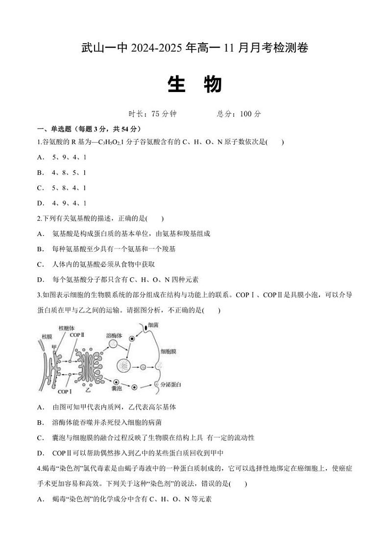 甘肃省天水市武山县第一高级中学2024～2025学年高一(上)11月月考生物试卷(含答案)第1页