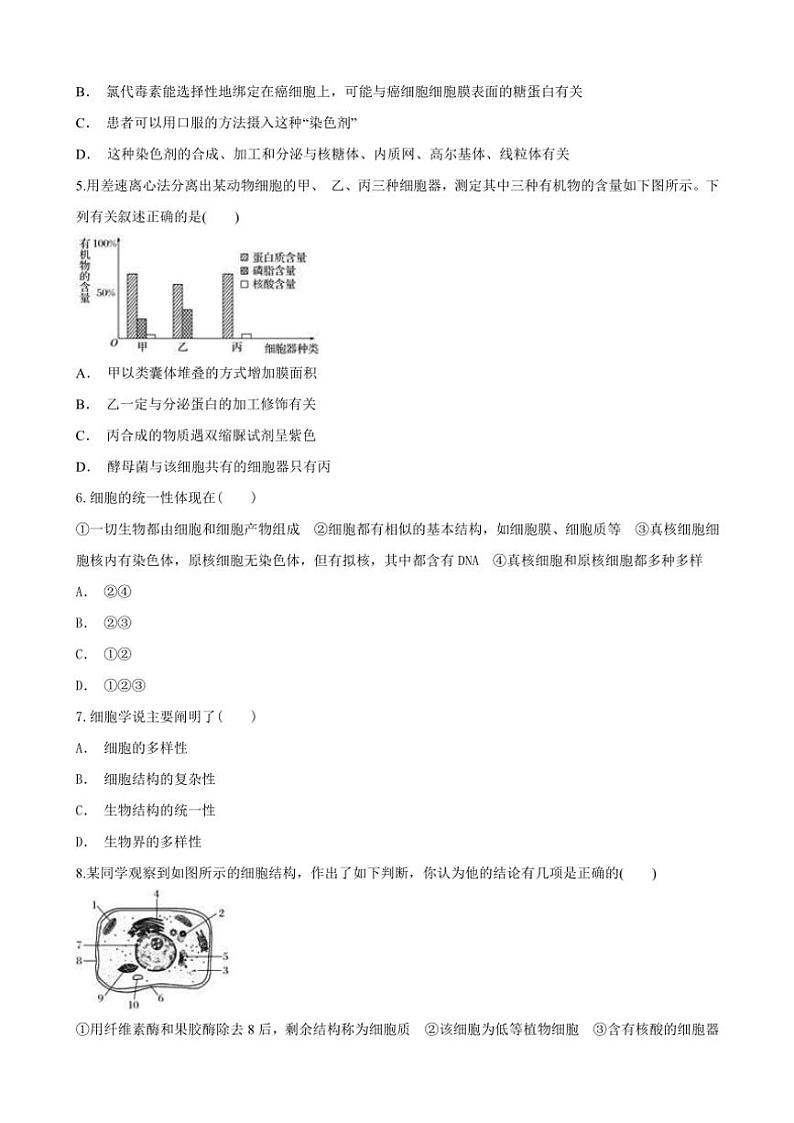 甘肃省天水市武山县第一高级中学2024～2025学年高一(上)11月月考生物试卷(含答案)第2页