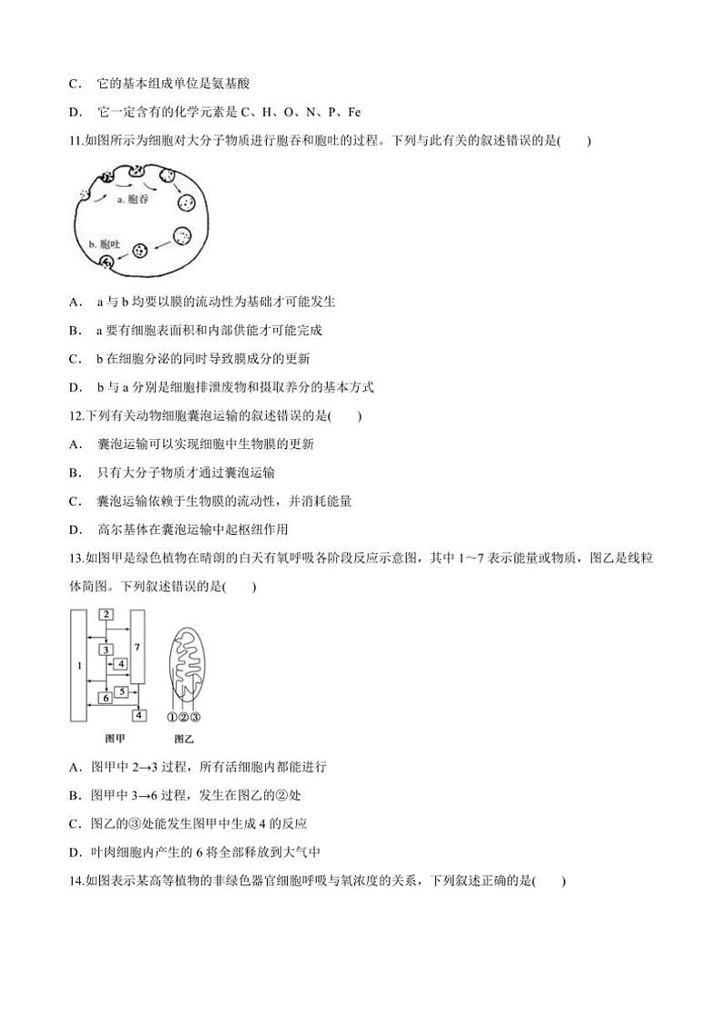 甘肃省天水市秦安县第一中学2024～2025学年高一(上)11月月考生物试卷(含答案)第3页