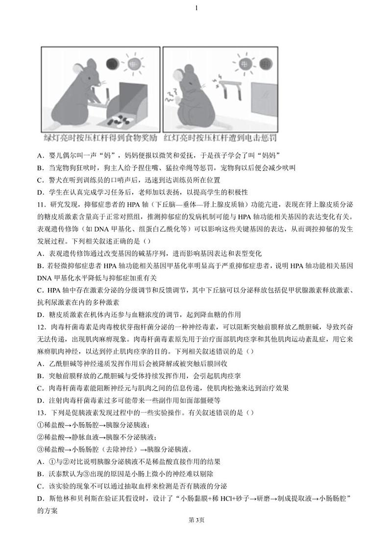 湖北省恩施州高中教育联盟2024～2025学年高二(上)期中生物试卷(含答案)第3页