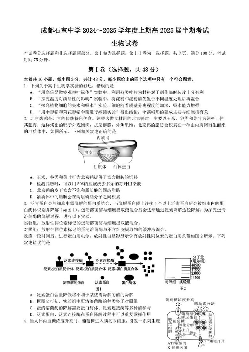 四川省成都市石室中学2024～2025学年高三(上)期中考试生物试卷(含解析)第1页
